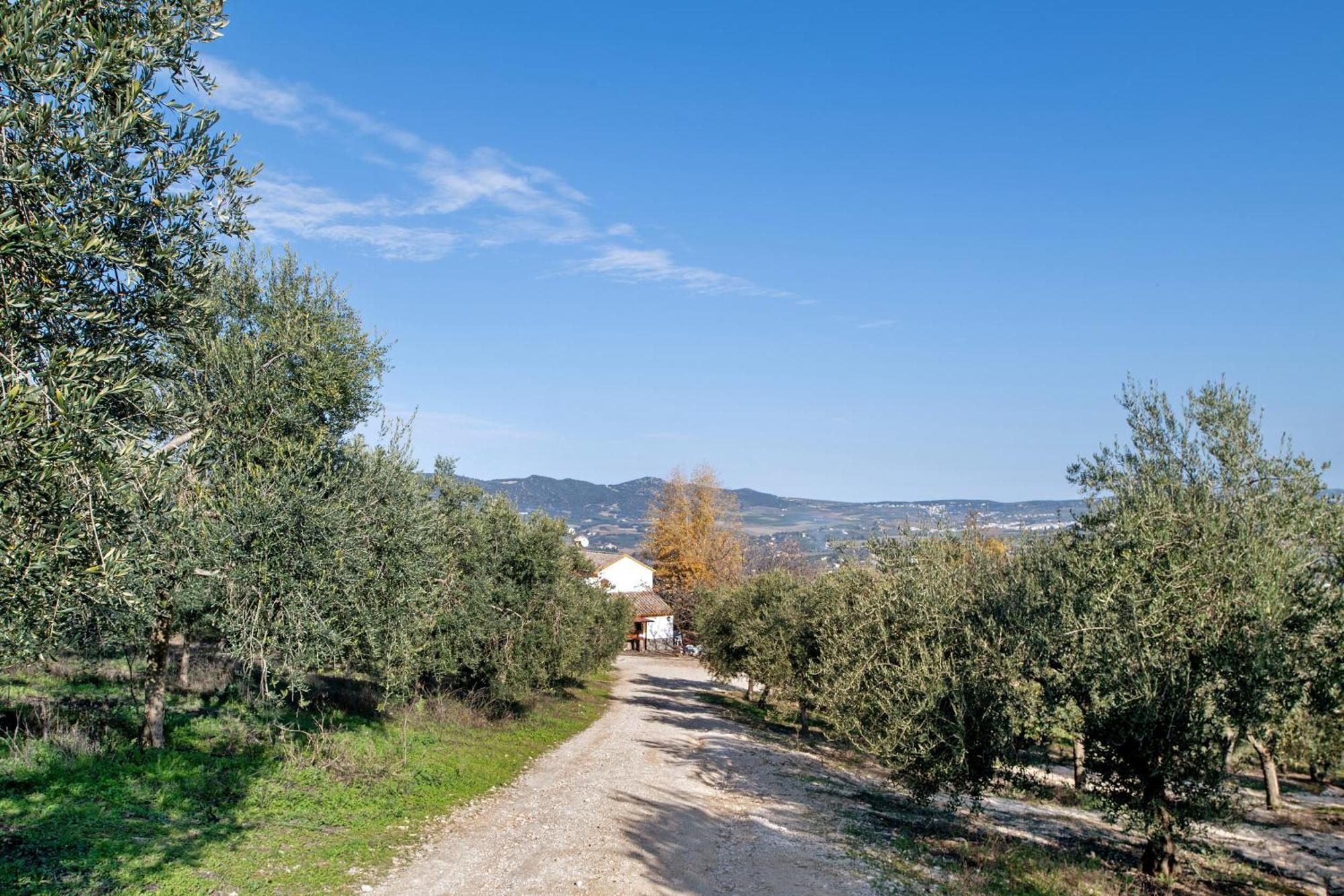 Casa Rural Fuente Dulce Ronda Eksteriør bilde